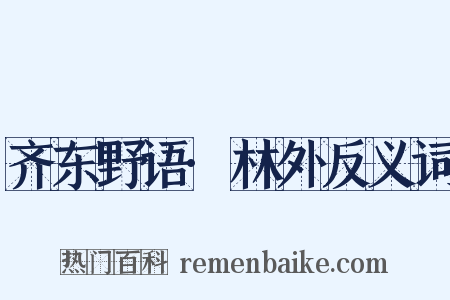 齐东野语·林外反义词是什么意思的图片